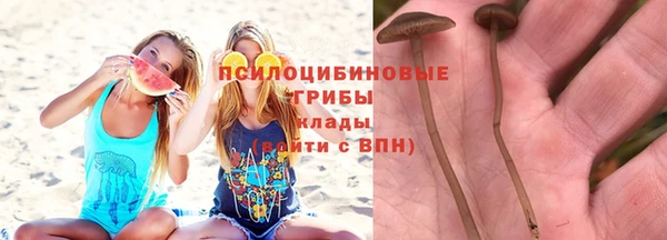 дурь Алексин