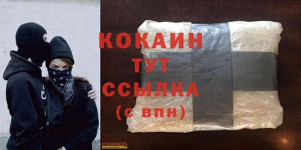 дурь Алексин