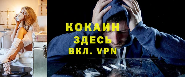 дурь Алексин