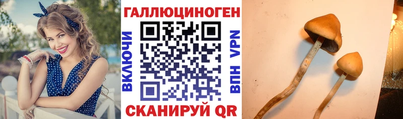 Псилоцибиновые грибы GOLDEN TEACHER  Южно-Сахалинск 